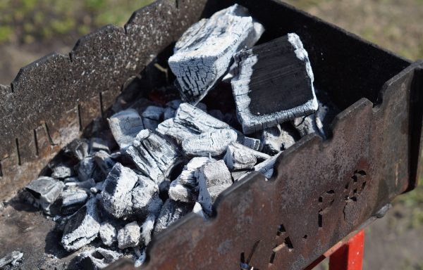 Premium White Charcoal – Binchotan